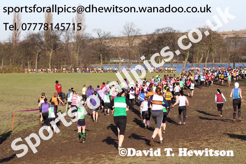Senior womens Northern Cross Country  Championships, Pontefract. Photo: David T. Hewitson/Sports for All Pics